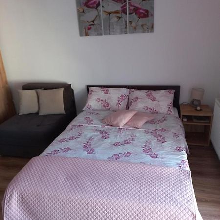 Apartman Moka Banja Koviljača 外观 照片